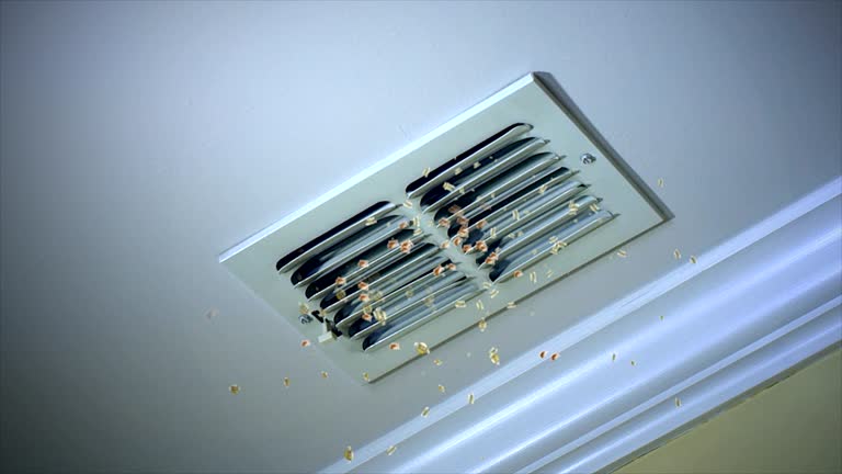 Best Affordable Duct Cleaning Services  in Lacey, WA