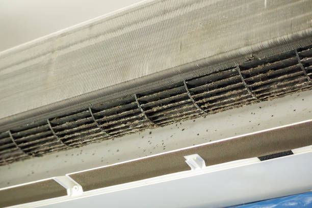 Best Duct Cleaning for Homes  in Lacey, WA